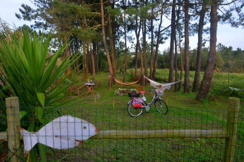 Happy Cat House - Holiday Rental São Martinho do Porto Exterior foto